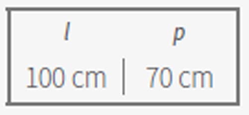 GARDEN FRIEND p1327020 Canopy ABS Depth 70 cm, Length 100 cm, Black, 70 x 100 x 5 cm