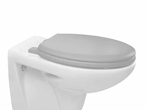 Bemis 5000ZAR492 Chicago Toilet Seat, Whisper Grey