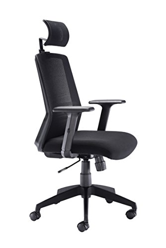 Office Hippo High Back Office Chair with Arms, Mesh Office Chair for Home, Lumbar Support and Adjustable Arms, Swivel, Fabric, Black