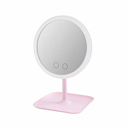LIUZH LED Light Makeup Lamp 10X Magnifier Battery Portable Hand Vanity Glass Mini Bathroom Cosmetic Bath Suction Cups
