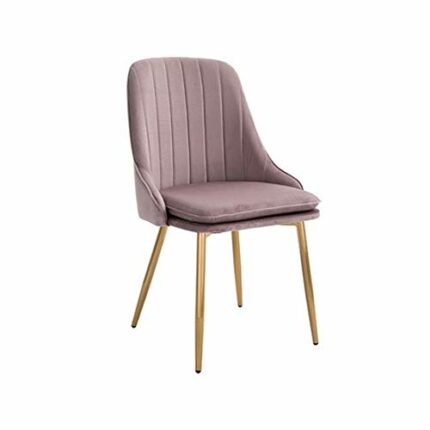 WALNUT Modern Minimalist Dining Chair Sponge Restaurant Furniture Chair Restaurant Modern China Iron Chair Wood Kitchen Rest (Color : D)