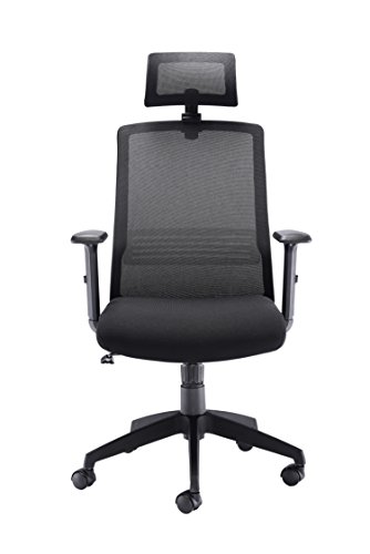Office Hippo High Back Office Chair with Arms, Mesh Office Chair for Home, Lumbar Support and Adjustable Arms, Swivel, Fabric, Black