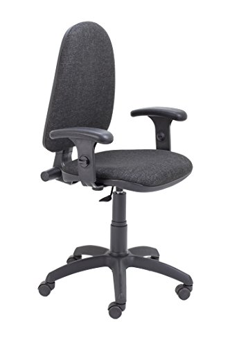 Office Hippo High Back Desk Chair, Ergonomic Office Chair For Home & Office With Height Adjustable Seat & Lumbar Support For Extra Comfort, Compu
