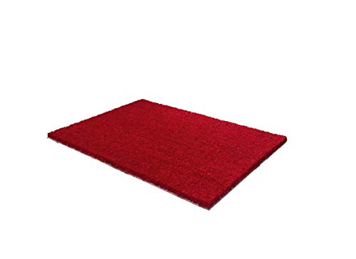 Carpido Non-slip coconut mats, antibacterial dirt trap, for covered outdoor use, sustainable natural fibres, 100% coconut, 40 x 60 cm, red
