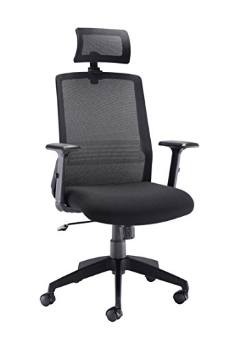 Office Hippo High Back Office Chair with Arms, Mesh Office Chair for Home, Lumbar Support and Adjustable Arms, Swivel, Fabric, Black