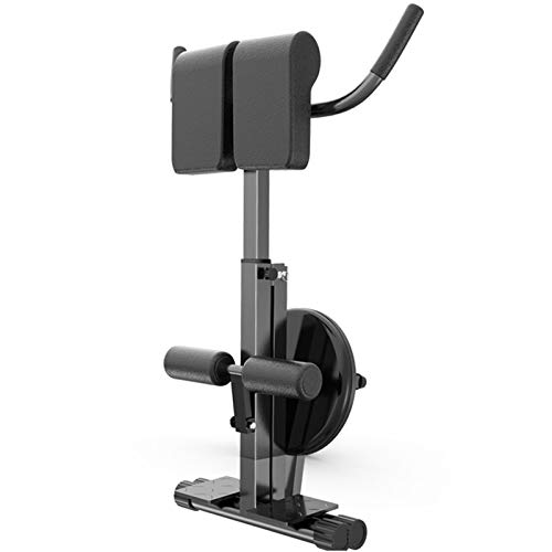 ZXYWW Folding Roman Chair, Adjustable Bench Roman Indoor Fitness Equipment with Waist Training and Push-Ups, Strength Training Back Machines