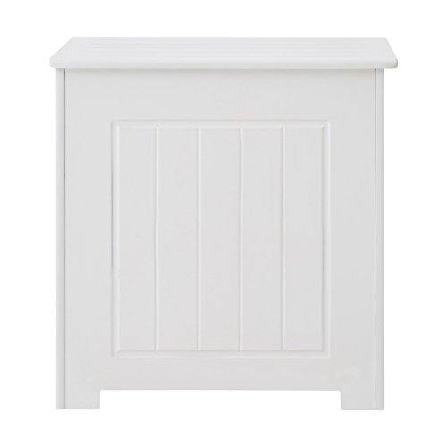 Premier Housewares Storage Chest with Hinged Top Lid, 51 x 51 x 40 cm - White