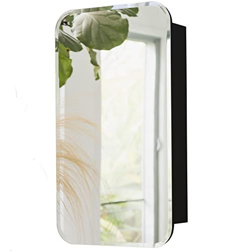 Medicine Cabinets For Bathroom With Mirror, Recessed Medicine Cabinet or Surface Mounted Bathroom Mirror Cabinet With Storage - 16" x 29",Bathroo