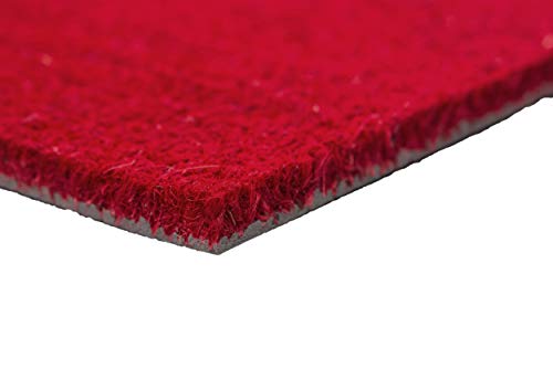 Carpido Non-slip coconut mats, antibacterial dirt trap, for covered outdoor use, sustainable natural fibres, 100% coconut, 40 x 60 cm, red