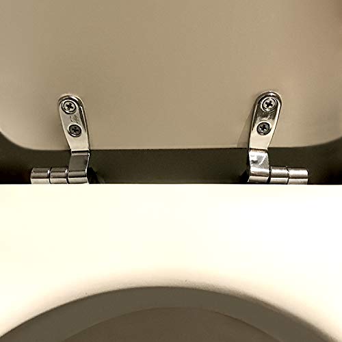 QWORK® Toilet Seat Hinge , Replacement Toilet Hinges Stainless Steel , 1 Pairs with Bolts and Nuts