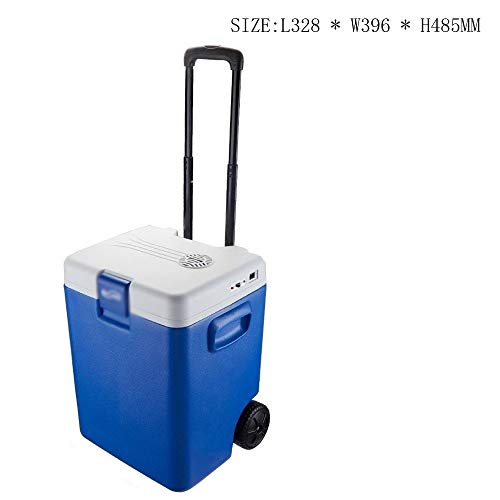 SDFGH Thermoelectric Mini Fridge Cooler and Warmer - for Home,Office, Car, Dorm or Boat - Compact & Portable