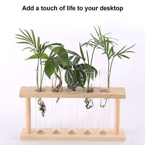 GLOGLOW Plant Propagation Stations, Wooden Stand Plant Terrarium Modern Flower Bud Vase Desktop Plant Holder with 5 Test Tube for Hydroponic Plan