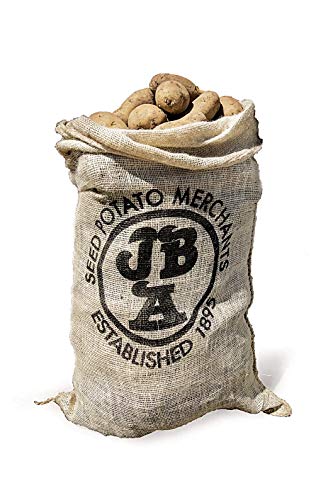 Hessian Sack for Storing Potatoes & Vegetable Storage Bags – 3 Pack – Holds up to 25kg – 84cm x 50cm – Store Fruit & Root Crops – Great for Farme