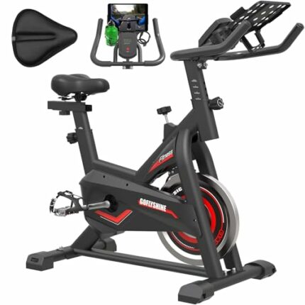 GOFLYSHINE Exercise Bikes Stationary,Exercise Bike for Home Indoor Cycling Bike for Home Cardio Gym,Workout Bike with 35 LBS Flywheel