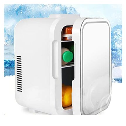 SDFGH Mini Refrigerator Kitchen Portable Fridge Auto Compressor Student Dormitory Home Picnic Camping Compact Cooler