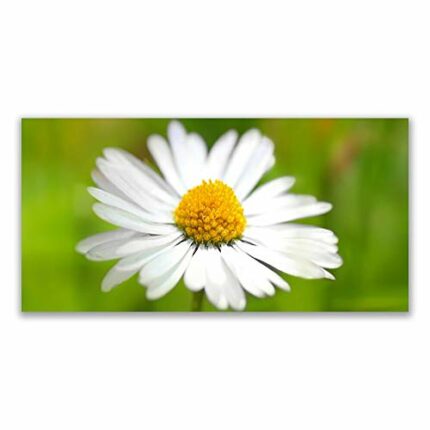 Tulup Glass Splashback for Kitchen - 55.1 in x 27.6 in / 140x70 cm - Cooker Wall Protection Tempered Glass - Daisy Floral