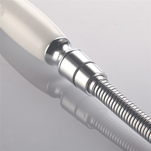 Skybath Shower Head Traditional Victorian Style Handheld Shower Sprayer and 59 Inch Hose Chrome