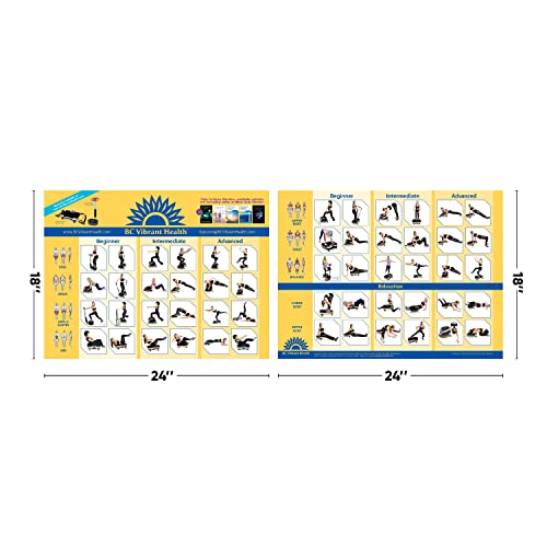 Full Body Vibration Poster Whole Body Vibration Plate Exercise Chart Workout Poster for Vibration Plate Exercise Machine