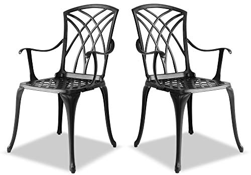 Homeology OSHOWA 2-Large Garden & Patio Chairs with Armrests in Cast Aluminium Black