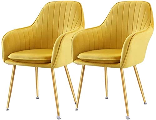 Modern Kitchen Dining Room Chairs Velvet Dining Chairs Set Of 2 With Metal Feet Armrest Backrest Lounge Chair Cushion Removable And Washable (Col
