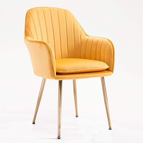 Modern Kitchen Dining Room Chairs Velvet Dining Chairs Living Room Armchair With Metal Legs Velvet Seat And Backrests Kitchen Living Room Counter