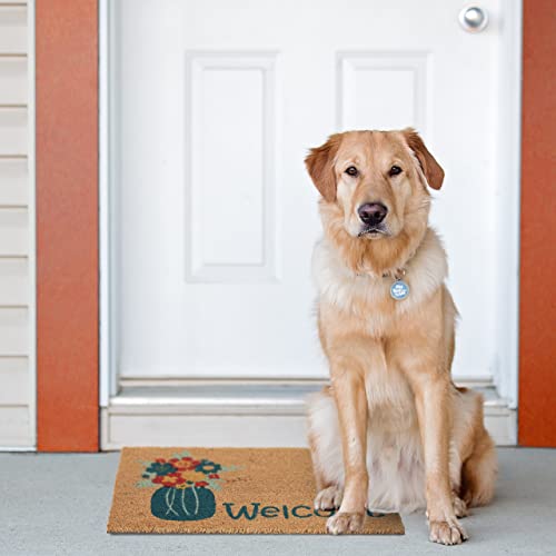 Relaxdays Welcome Doormat Coir Coconut, 40 x 60 cm, Vase Design, Door Mat Inside & Outside, Non-Slip Shoe Wiper, Natural