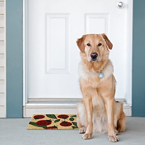 Relaxdays Ladybug Doormat Rubber, 40 x 60 cm, Door Mat Inside & Outside, Non-Slip, Natural Coir/Red, PVC