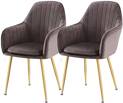 Modern Kitchen Dining Room Chairs Velvet Dining Chairs Set Of 2 With Metal Feet Armrest Backrest Lounge Chair Cushion Removable And Washable (Col