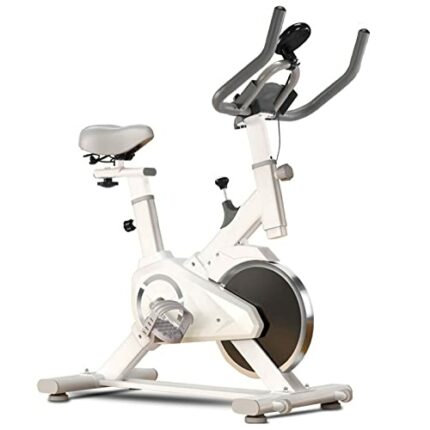 Super Silent Exercise Bike, Bluetooth Home Trainer, Magnetically Controlled Stationary Bike, Professional Weight Loss Pedal Exerciser, Adjustable