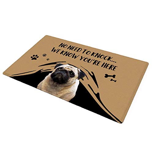 VEELU Personalized Door Mat for Front Door Outdoor Dog Pet Funny Custom Welcome Photo Doormat Outside Inside Modern Farmhouse Decor Unique Gift I