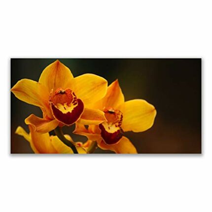 Tulup Glass Splashback for Kitchen - 55.1 in x 27.6 in / 140x70 cm - Cooker Wall Protection Tempered Glass - Flowers Floral