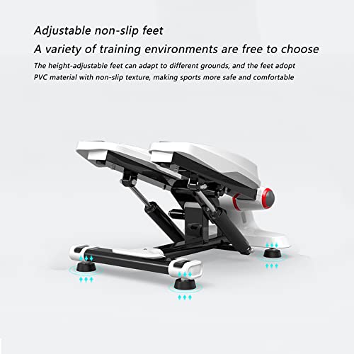 Stepper, Up-down with or Without Training Bands, Holistic Training