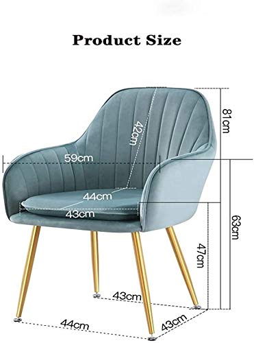Modern Kitchen Dining Room Chairs Velvet Dining Chairs Set Of 2 With Metal Feet Armrest Backrest Lounge Chair Cushion Removable And Washable (Col