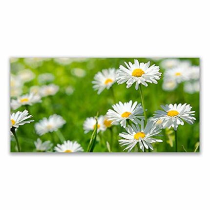 Tulup Glass Splashback for Kitchen - 55.1 in x 27.6 in / 140x70 cm - Cooker Wall Protection Tempered Glass - Daisy Floral