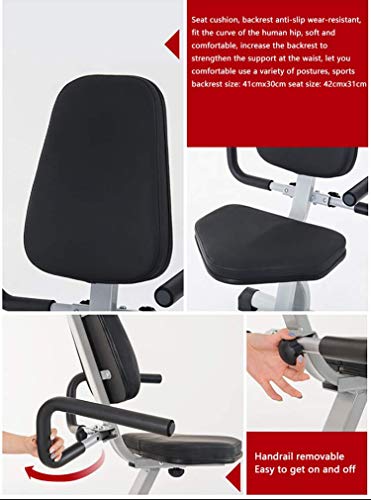 LUNEZY Electric Rehabilitation Bike Home Physiotherapy Fitness Mini Bike, Stroke Hemiplegic Training,10 Speed Adjustment ideal cardio trainer