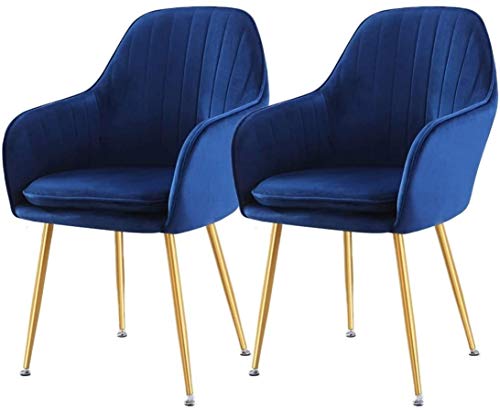 Modern Kitchen Dining Room Chairs Velvet Dining Chairs Set Of 2 With Metal Feet Armrest Backrest Lounge Chair Cushion Removable And Washable (Col