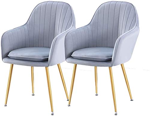 Modern Kitchen Dining Room Chairs Velvet Dining Chairs Set Of 2 With Metal Feet Armrest Backrest Lounge Chair Cushion Removable And Washable (Col