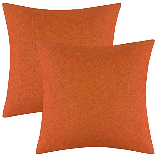 Ruisita 2 Pack 18 x 18 Inches Waterproof Pillow Covers Square Garden Cushion Case Decorative Outdoor Throw Pillow Covers for Home Garden Patio (O