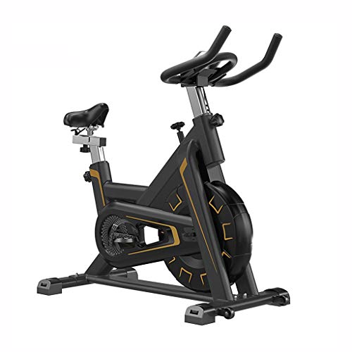 NXYJD Home Spinning Exercise Bikes Spinning Bicycle Machine Mute Sports Training Exercise Bike Weight Loss Gym Fitness Equipment