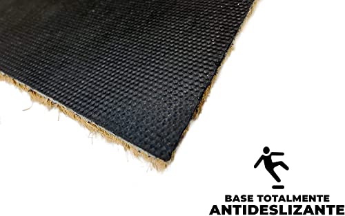 LucaHome Natural Coconut Door Mat 70 x 40 with Non-Slip Base, Coconut Door Mat Funny Lemonade, Absorbent Door Mat Entrance Home, Ideal for Outdoo