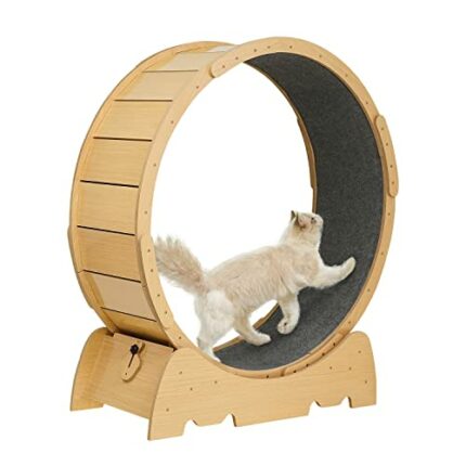 Petour 42.5 Inch Cat Exercise Wheel for Indoor Cats, Cat Treadmill Exerciser for Fitness