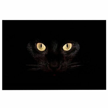 ChezMax Out Doormat Non-Slip Door Mat Waterproof Rugs Indoor Carpet Universal Welcome Mat Front Door Mud Absorbent for Floor Entrance Bath Kitche
