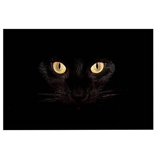 ChezMax Out Doormat Non-Slip Door Mat Waterproof Rugs Indoor Carpet Universal Welcome Mat Front Door Mud Absorbent for Floor Entrance Bath Kitche