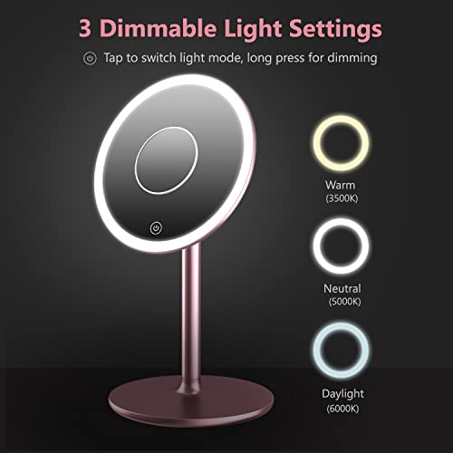 Kostlich Makeup Mirror with Lights, Rechargeable Vanity Mirror with 10X Magnifying Small Pocket Mirror - Aluminum Stand, Detachable, Touch Sensor