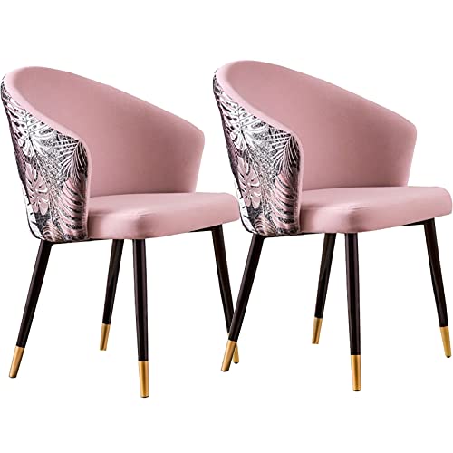 Kitchen Dining Room Furniture Chairs Velvet Dining Chair Set Of 2 Retro Kitchen Dining Room Chairs with Metal Legs Velvet Seat and Embroidery Bac