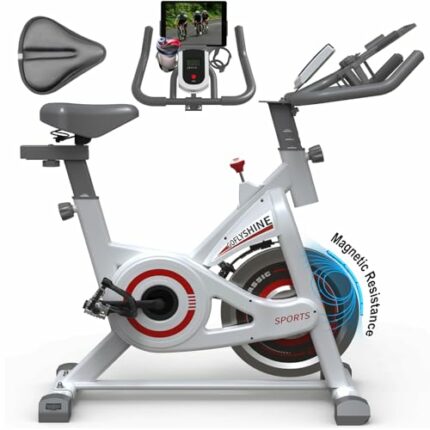 GOFLYSHINE Exercise Bikes Stationary,Exercise Bike for Home Indoor Cycling Bike for Home Cardio Gym,Workout Bike with Saddle Cover, Ipad Mount &