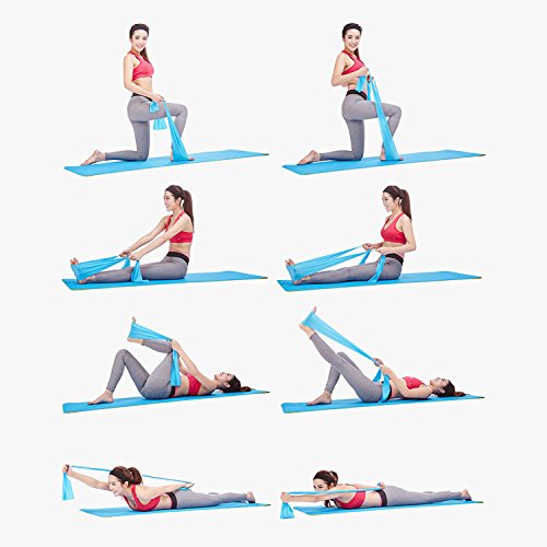 AlleTechPlus Resistance Stretch Band 6.6 ft. 2 Pack Long Elastic Flat Bands, Latex Free, Home Gym Fitness Equipment for Physical Therapy, Pilates