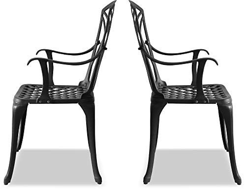Homeology OSHOWA 2-Large Garden & Patio Chairs with Armrests in Cast Aluminium Black