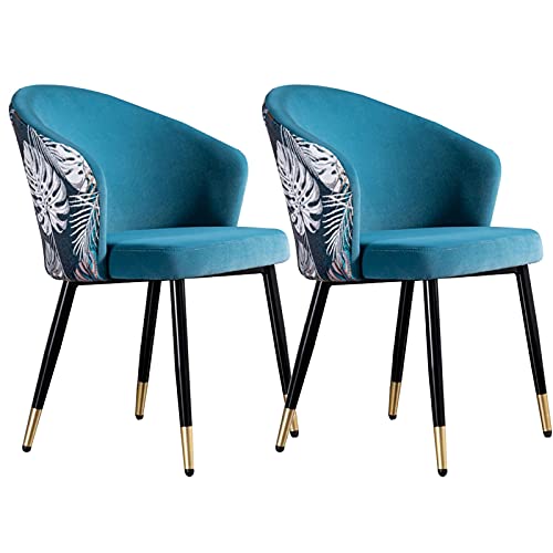 Kitchen Dining Room Furniture Chairs Velvet Dining Chair Set Of 2 Retro Kitchen Dining Room Chairs with Metal Legs Velvet Seat and Embroidery Bac