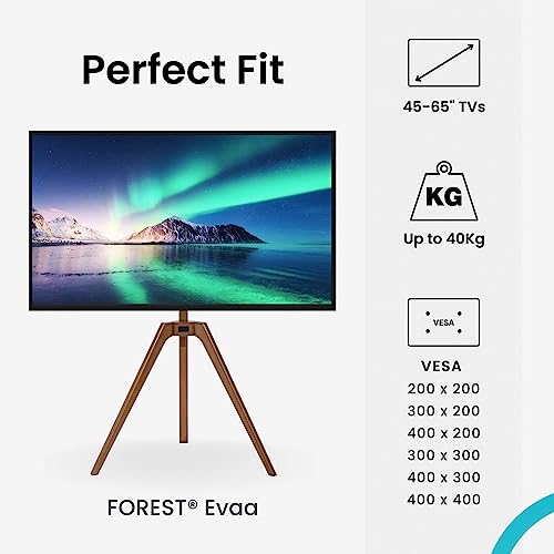 FOREST Floor TV Stand fits 45" to 65" Screens, for Samsung, Sony, LG and VESA 200x200-400x400 TVs